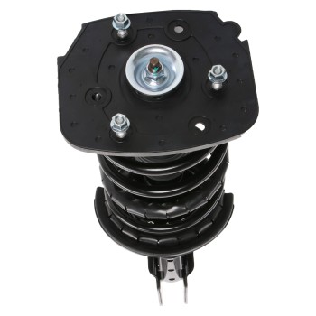 Suspension Strut and Coil Spring Assembly