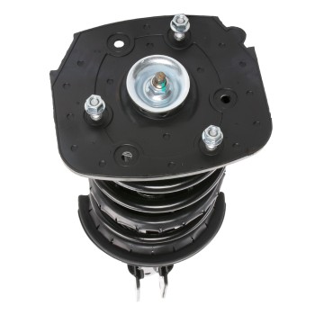 Suspension Strut and Coil Spring Assembly