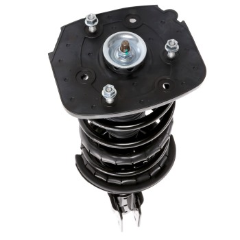 Suspension Strut and Coil Spring Assembly