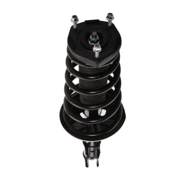 Suspension Strut and Coil Spring Assembly