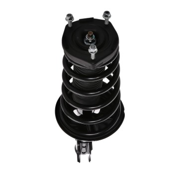 Suspension Strut and Coil Spring Assembly