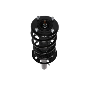 Suspension Strut and Coil Spring Assembly