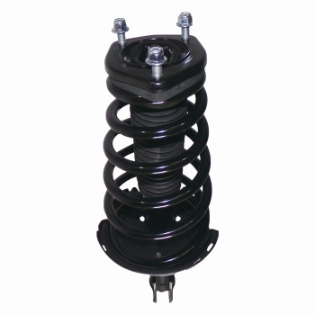 Suspension Strut and Coil Spring Assembly