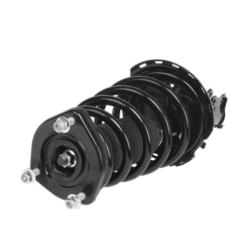 Suspension Strut and Coil Spring Assembly