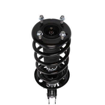 Suspension Strut and Coil Spring Assembly
