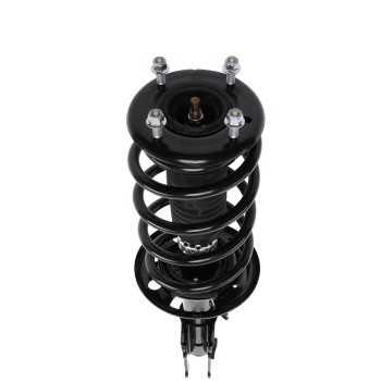 Suspension Strut and Coil Spring Assembly