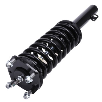 Suspension Strut and Coil Spring Assembly