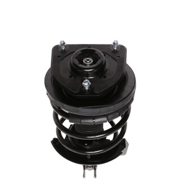 Suspension Strut and Coil Spring Assembly