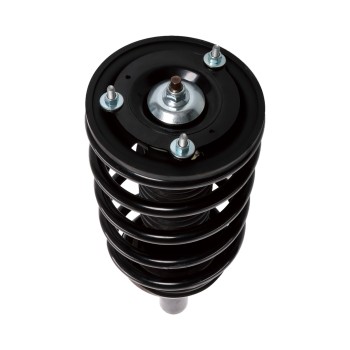 Suspension Strut and Coil Spring Assembly
