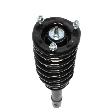 Suspension Strut and Coil Spring Assembly