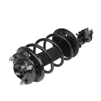 Suspension Strut and Coil Spring Assembly