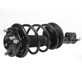 Suspension Strut and Coil Spring Assembly