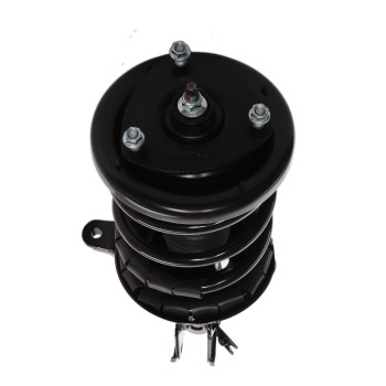 Suspension Strut and Coil Spring Assembly