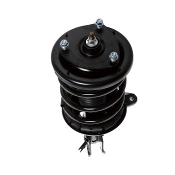 Suspension Strut and Coil Spring Assembly
