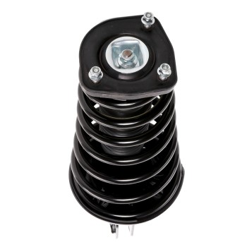 Suspension Strut and Coil Spring Assembly