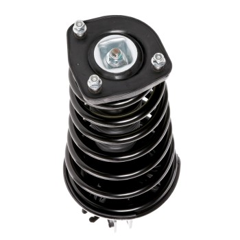 Suspension Strut and Coil Spring Assembly