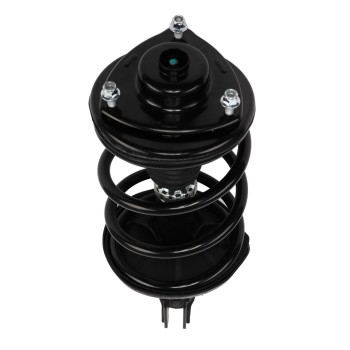 Suspension Strut and Coil Spring Assembly