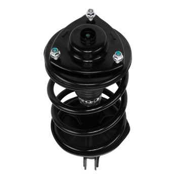 Suspension Strut and Coil Spring Assembly