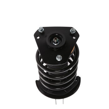 Suspension Strut and Coil Spring Assembly