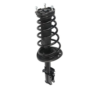 Suspension Strut and Coil Spring Assembly