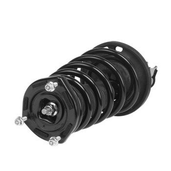 Suspension Strut and Coil Spring Assembly