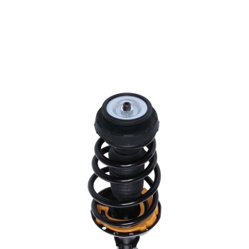 Suspension Strut and Coil Spring Assembly