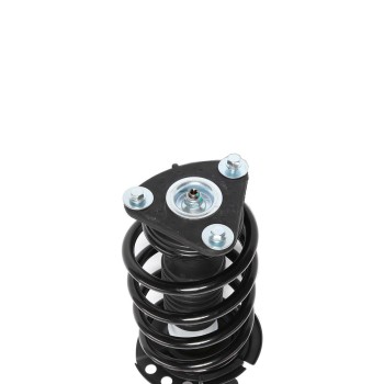 Suspension Strut and Coil Spring Assembly