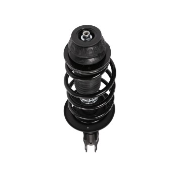 Suspension Strut and Coil Spring Assembly