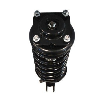 Suspension Strut and Coil Spring Assembly