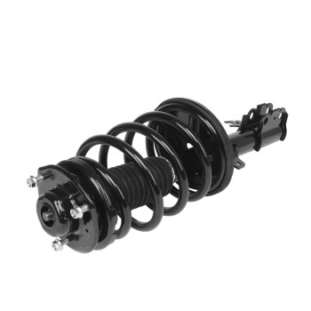 Suspension Strut and Coil Spring Assembly