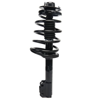 Suspension Strut and Coil Spring Assembly