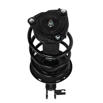 Suspension Strut and Coil Spring Assembly