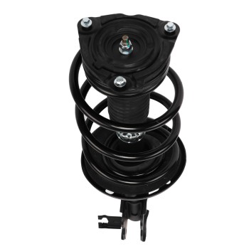 Suspension Strut and Coil Spring Assembly
