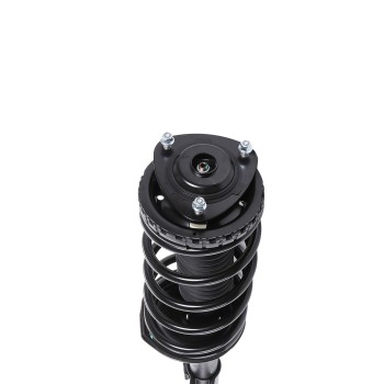 Suspension Strut and Coil Spring Assembly