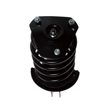 Suspension Strut and Coil Spring Assembly