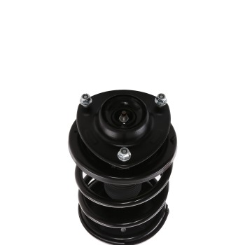 Suspension Strut and Coil Spring Assembly