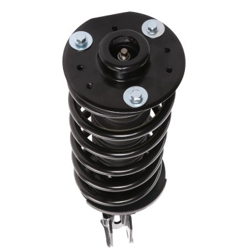 Suspension Strut and Coil Spring Assembly