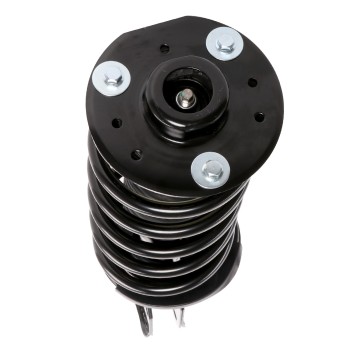 Suspension Strut and Coil Spring Assembly