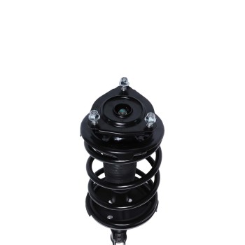 Suspension Strut and Coil Spring Assembly