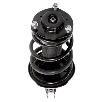 Suspension Strut and Coil Spring Assembly