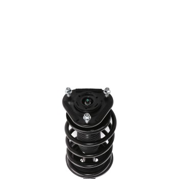 Suspension Strut and Coil Spring Assembly