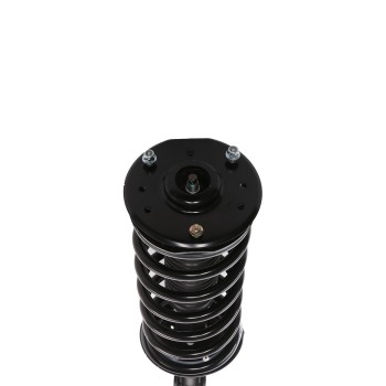 Suspension Strut and Coil Spring Assembly