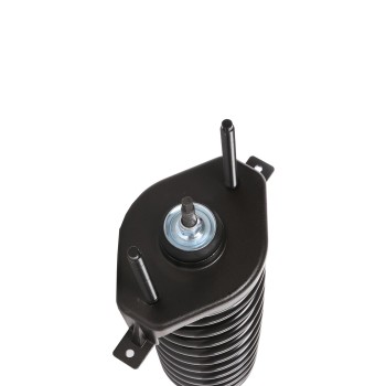 Suspension Strut and Coil Spring Assembly