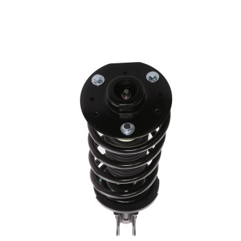 Suspension Strut and Coil Spring Assembly