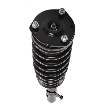 Suspension Strut and Coil Spring Assembly