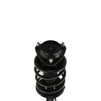 Suspension Strut and Coil Spring Assembly