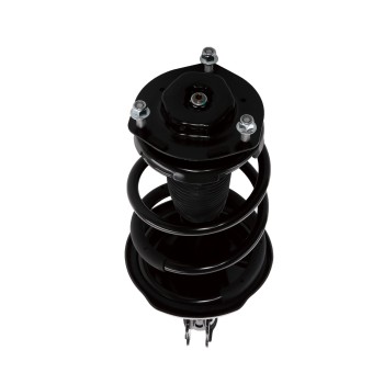 Suspension Strut and Coil Spring Assembly