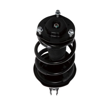 Suspension Strut and Coil Spring Assembly