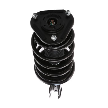 Suspension Strut and Coil Spring Assembly