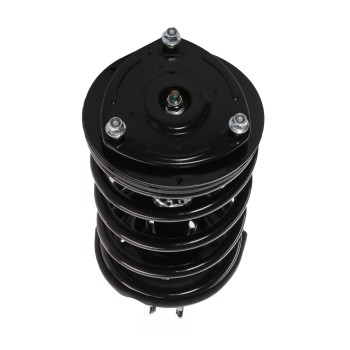 Suspension Strut and Coil Spring Assembly